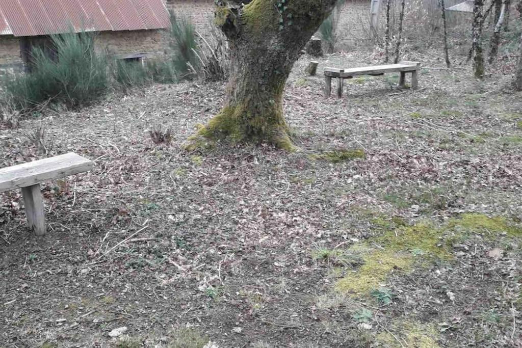 Gite Maison Du Trottoir, Sussac Buitenkant foto